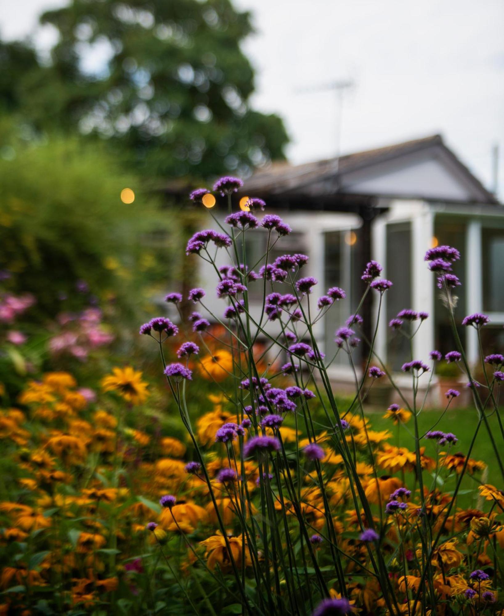 הוילה היילסוורת' Peaceful, Country Setting In Suffolk, Near Coast מראה חיצוני תמונה